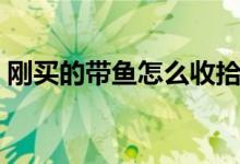 刚买的带鱼怎么收拾（刚买的带鱼怎样清洗）