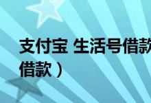 支付宝 生活号借款平台（最全支付宝生活号借款）