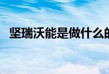 坚瑞沃能是做什么的（其主营业务是什么）