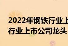 2022年钢铁行业上市公司概念有哪些（钢铁行业上市公司龙头）