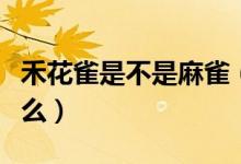禾花雀是不是麻雀（禾花雀与麻雀的区别有什么）