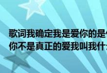 歌词我确定我是爱你的是什么歌（哪首歌里面有一句歌词是你不是真正的爱我叫我什么名字）