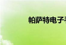 帕萨特电子手刹灯一闪一闪 
