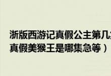 浙版西游记真假公主第几集（浙江卫视放西游记是哪个版的真假美猴王是哪集急等）