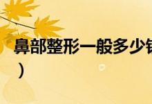 鼻部整形一般多少钱（鼻子整形失败几率高吗）
