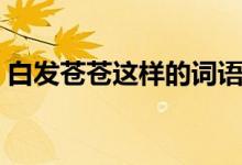 白发苍苍这样的词语（表示白发苍苍的词语）