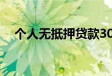 个人无抵押贷款30万（个人无抵押贷款）