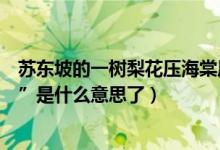 苏东坡的一树梨花压海棠原诗（苏东坡的“一树梨花压海棠”是什么意思了）