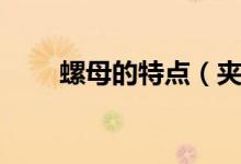 螺母的特点（夹板螺母有什么特点）