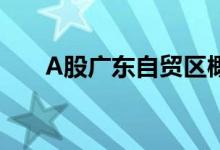 A股广东自贸区概念股龙头有哪些（）