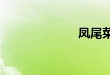  凤尾菜是莴笋吗 
