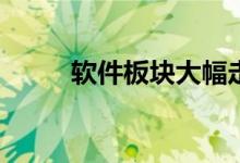 软件板块大幅走高近20股涨超8%