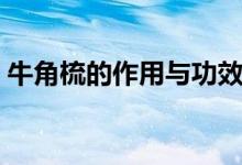 牛角梳的作用与功效（牛角梳的作用有什么）