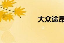 大众途昂保养灯复位 