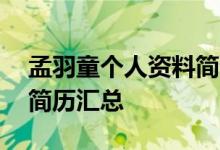 孟羽童个人资料简介：董明珠22岁秘书详细简历汇总