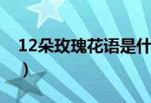 12朵玫瑰花语是什么（12朵玫瑰花语是什么）