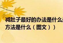 减肚子最好的办法是什么最快的效果怎么做（减肚子的最快方法是什么（图文））