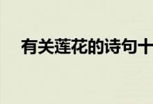 有关莲花的诗句十句（有关莲花的诗句）