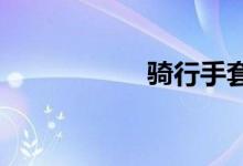  骑行手套什么牌子好 