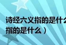 诗经六义指的是什么分别代表什么（诗经六义指的是什么）