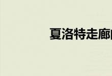  夏洛特走廊的混合用途资产 