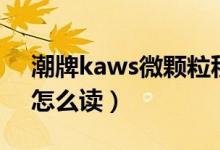 潮牌kaws微颗粒积木拼法图纸（潮牌kaws怎么读）