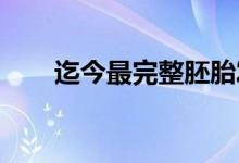 迄今最完整胚胎发育单细胞图谱发布