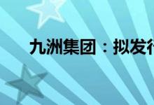 九洲集团：拟发行不超过6亿元可转债