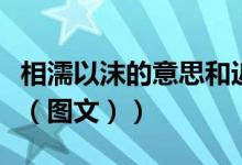 相濡以沫的意思和近反义词（相濡以沫的意思（图文））