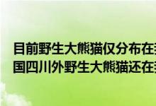 目前野生大熊猫仅分布在我国的什么什么和什么（除了在我国四川外野生大熊猫还在我国哪里有分布）