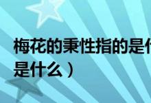 梅花的秉性指的是什么意思（梅花的秉性指的是什么）