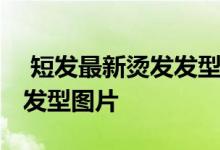  短发最新烫发发型图片 分享最新五款短烫发发型图片 
