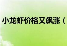 小龙虾价格又飙涨（小龙虾营养价值和功效）