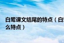 白鹭课文结尾的特点（白鹭阅读答案文章的开头和结尾有什么特点）