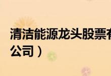清洁能源龙头股票有哪些（清洁能源龙头上市公司）