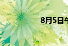 8月5日午间涨停分析