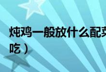 炖鸡一般放什么配菜（炖鸡一般放什么配菜好吃）