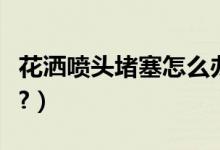 花洒喷头堵塞怎么办呀（花洒喷头堵塞怎么办?）