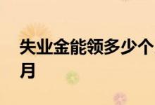 失业金能领多少个月 失业金能领多少钱一个月 