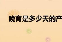 晚育是多少天的产假（晚育是多大年龄）