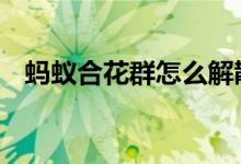 蚂蚁合花群怎么解散 蚂蚁合花有什么好处