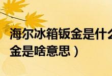 海尔冰箱钣金是什么意思（海尔冰箱材质是钣金是啥意思）