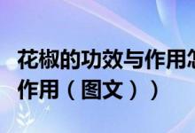 花椒的功效与作用怎样泡水喝（花椒的功效与作用（图文））