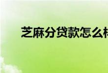 芝麻分贷款怎么样（芝麻分贷款口子）