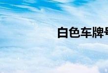  白色车牌号et是什么车? 