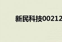 新民科技002127股票资金流向查询