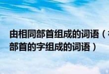 由相同部首组成的词语（相同部首的字组成的词语要用相同部首的字组成的词语）