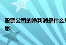 股票公司的净利润是什么意思啊 股票公司的净利润是什么意思 