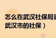 怎么在武汉社保局官网查社保（怎么在网上查武汉市的社保）