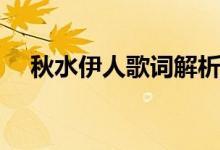 秋水伊人歌词解析（秋水伊人歌词谢谢）